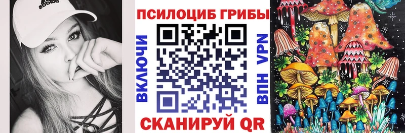 наркота Пудож MEGA Псилоцибиновые грибы ЛСД